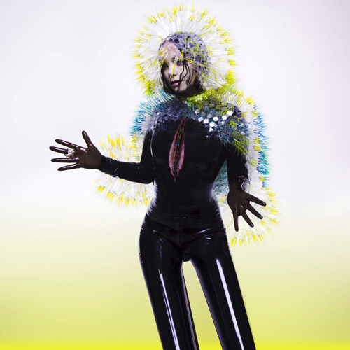 Björk - Vulnicura