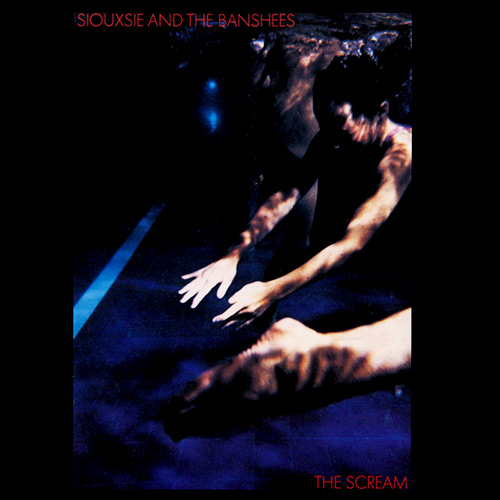 Siouxsie and the Banshees - The Scream